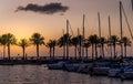 Sunset view of the marina with silhouettes of palms and boats