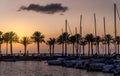 Sunset view of the marina with silhouettes of palms and boats