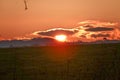 Sunset view over the field red sun setting behind clouds making sky golden