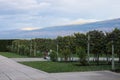 Sunset view over vineyard in okanagan valley canada