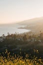 Sunset view of the Pacific Coast, in Pacific Palisades, Los Angeles, California Royalty Free Stock Photo