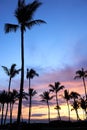 Sunset view of palm trees and ocean in Maui, Hawaii Royalty Free Stock Photo