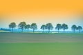 Sunset view of trees rows over agricultural field Royalty Free Stock Photo