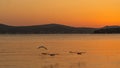 Sunset view of sea and mountain silhouettes, flying birds over water Royalty Free Stock Photo