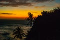 Sunset, view of the sea and palm trees. Apo island, Philippines Royalty Free Stock Photo