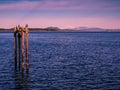 Sunset view at the shore in Sidney, Vancouver Island, British Co Royalty Free Stock Photo