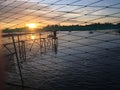 Sunset view from a shrimp farm Royalty Free Stock Photo