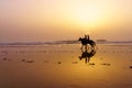 Sunset silhouette of horses and riders, beach of Essaouira