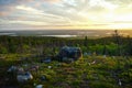 Sunset view to taiga forest and lakes from Mountain Vottovaara, Karelia, Russia