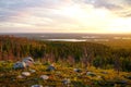 Sunset view to taiga forest and lakes from Mountain Vottovaara, Karelia, Russia