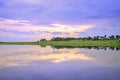 Sunset view whilst looking for Shoebill storks Balaeniceps rex bird in Mabamba Swamp from a little wooden fishing boat