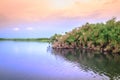 Sunset view whilst looking for Shoebill storks Balaeniceps rex bird in Mabamba Swamp from a little wooden fishing boat