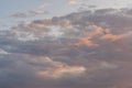 A sunset viewed from below, showcasing a gradient of pink, orange, and blue cloudscape stretching across the sky a Royalty Free Stock Photo