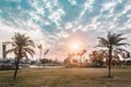 Sunset at Villa-Lobos Park in San Paulo Sao Paulo, Brazil Bra Royalty Free Stock Photo