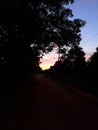 Sunset on the village road Royalty Free Stock Photo