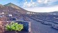 Sunset on vineyards in La Geria, Lanzarote, Canary Islands