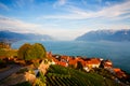 Sunset on vineyards over lake Leman (lake of Geneva), Switzerla Royalty Free Stock Photo