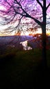 Sunset at vltava river lookout tower