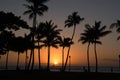 Sunset at Waikiki Royalty Free Stock Photo