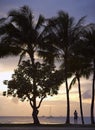 At sunset - Waikiki Beach Royalty Free Stock Photo