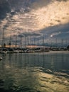 Waikiki Harbour Royalty Free Stock Photo