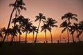 Sunset in Waikiki Hawaii