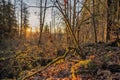 Sunset at the Wallace Falls State Park