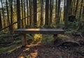 Sunset at the Wallace Falls State Park