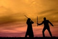 Sunset Warriors Royalty Free Stock Photo