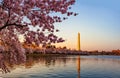 Sunset at Washington Monument