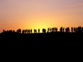 Sunset watchers Royalty Free Stock Photo