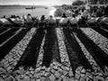 Sunset watchers on the Lisbon waterfront. Long shadows. Portugal Royalty Free Stock Photo