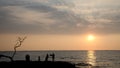 Sunset watchers next to dry tree at Anaehoomalu Beach Royalty Free Stock Photo