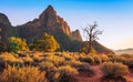 Sunset on the Watchman, Zion National Park, Utah Royalty Free Stock Photo