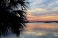 Sunset with water and palm tree