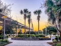 Sunset at Waterfront Memorial Park in Mount Pleasant, SC Royalty Free Stock Photo
