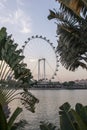 Sunset waterfront view of the Singapore flyers