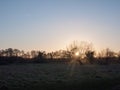 sunset waterlogged country walkway white sky autumn field dedham