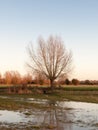 sunset waterlogged country walkway white sky autumn field dedhamsunset waterlogged country walkway white sky autumn field