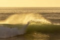 Sunset Wave, NZ