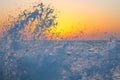 Sunset wave swallows the sea. Royalty Free Stock Photo