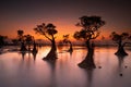 Sunset at Walakiri Beach Sumba Island Royalty Free Stock Photo