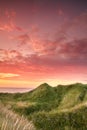 Sunset on the west coast of Jutland - Lokken Beach, Denmark. Beautiful landscape with lush grass waving in the wind
