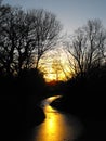 The Golden Pathway sunset silhouette