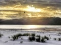 Sunset and white sand at Matarangi beach. Coromandel. New Zealand Royalty Free Stock Photo