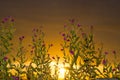 Sunset through the wild coastal flowers Royalty Free Stock Photo