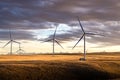 Sunset windmills producing green energy on a harvested wheat field with a small rustic barn Royalty Free Stock Photo