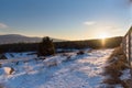 Sunset in winter forest with concrete fence