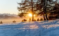 Sunset in winter. Landscape of snow, fog and trees with copy space. One people silhouette walking with one dog