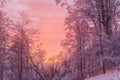 Sunset in winter mountains, frozen white trees and colorful sky